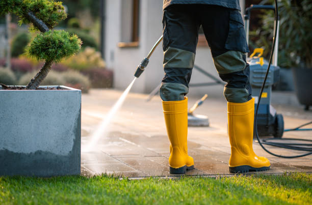 Best Power Washing Near Me  in El Verano, CA